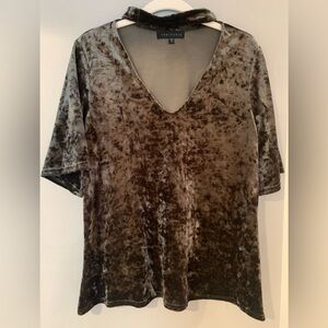 Sanctuary Elegant Velvet V-Neck Top in Green